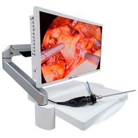 Эндоскопическая видеосистема DS.Vision FHD 3 in 1